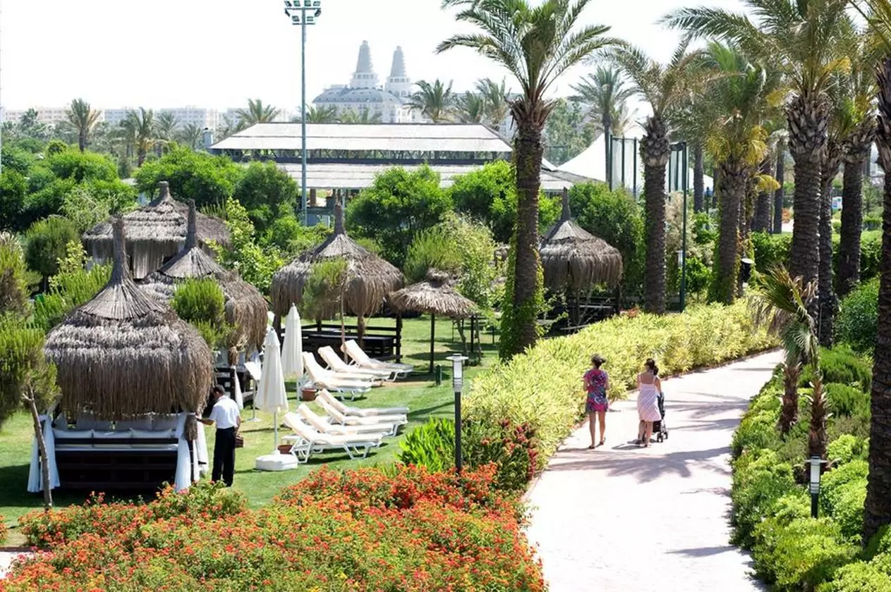 MIRACLE_SHABAVIZ (22).jpg